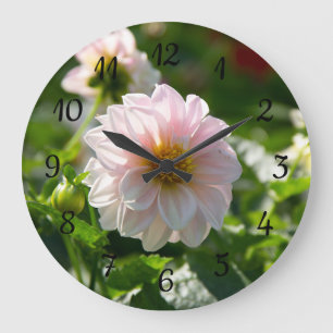 Weiße Dahlie im Foto Große Wanduhr