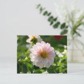 Weiße Dahlie im Foto Postkarte (Stehend Vorderseite)