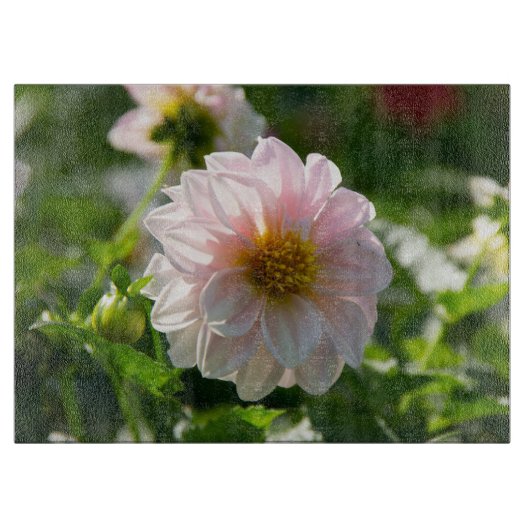 Weiße Dahlie im Foto Schneidebrett (Vorderseite)