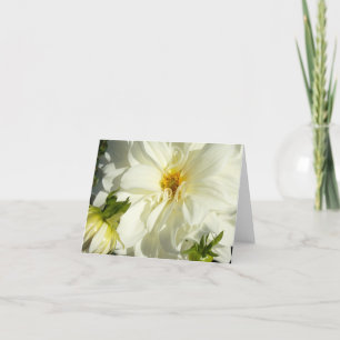 Weiße Dahlie Karte