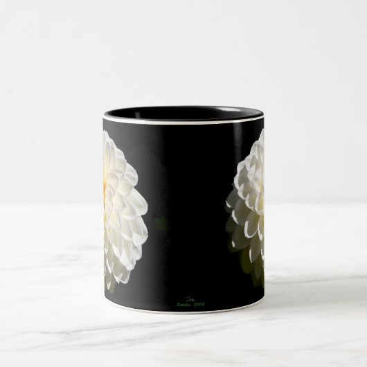 Weiße Dahlien Zweifarbige Tasse (Mittel)