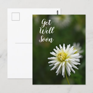 Weiße Dahlienblume Gute Besserung Postkarte