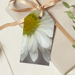 Weiße Daisy auf den Tags der grauen Gastgeschenk H Geschenkanhänger