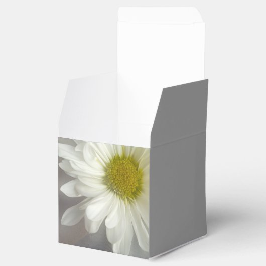 Weiße Daisy auf graue Hochzeit Geschenkschachtel (Geöffnet)