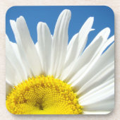 Weiße Daisy Blume Kork Untersetzer unterhalten (Vorderseite)