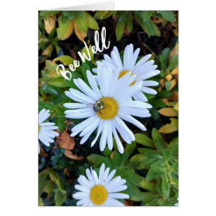 Weiße Daisy-Blume mit Bienen Get Well Card
