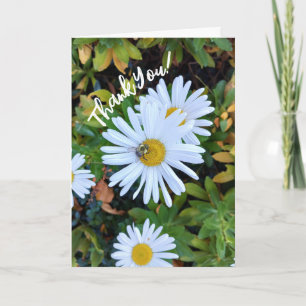 Weiße Daisy-Blume mit einer Bienen Dankeschön-Kart Dankeskarte