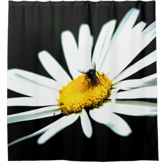 Weiße Daisy-Blume und Fliege Duschvorhang (Vorderseite)