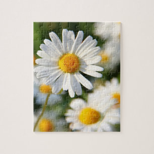 Weiße Daisy Floral Puzzle