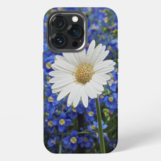 Weiße Daisy iPhone 13 Pro Hülle (Hinten)