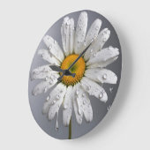 Weiße Daisy mit Regentropfen Große Wanduhr (Winkel)