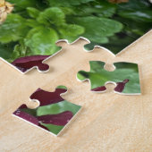 Weiße Daisy, Seoul Puzzle (Seite)