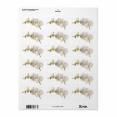 Weiße Dendrobium-Orchid-Blume-Spray Blankenleder Adressaufkleber (Vorne)