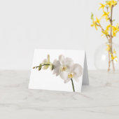 Weiße Dendrobium-Orchid-Blume-Spray Blankenleder Karte (Gelbe Blume)