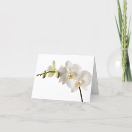 Weiße Dendrobium-Orchid-Blume-Spray Blankenleder Karte