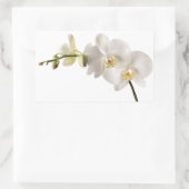 Weiße Dendrobium-Orchid-Blume-Spray Blankenleder Rechteckiger Aufkleber (Tasche)