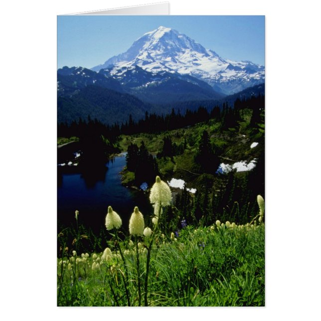 weiße der Mount- RainierBlumen (Vorne)