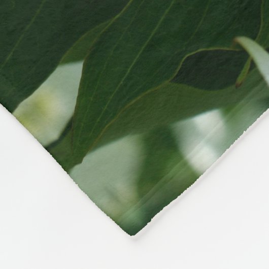 Weiße Dogwood-Blume blüht Muster Fleecedecke (Ecke)