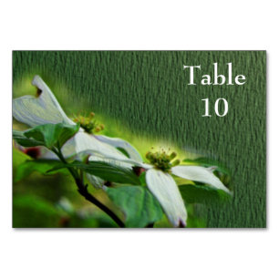 Weiße Dogwood-Blume Hochzeit Tischnummer