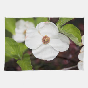 Weiße Dogwood Blume Küchentücher