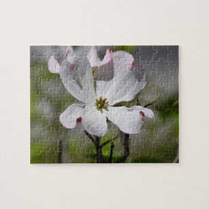 Weiße Dogwood-Blume Puzzle