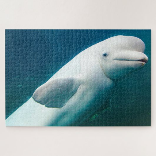 Weiße Dolphin Puzzle (Horizontal)