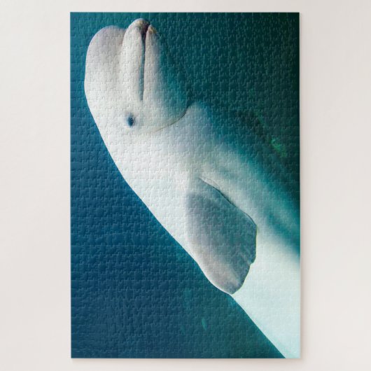 Weiße Dolphin Puzzle (Vertikal)