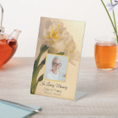 Weiße Doppel-Daffodien Beerdigungsdenkmal Sockelschild (In SItu)