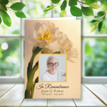 Weiße Doppel-Daffodien Begräbnisdienst geklappt