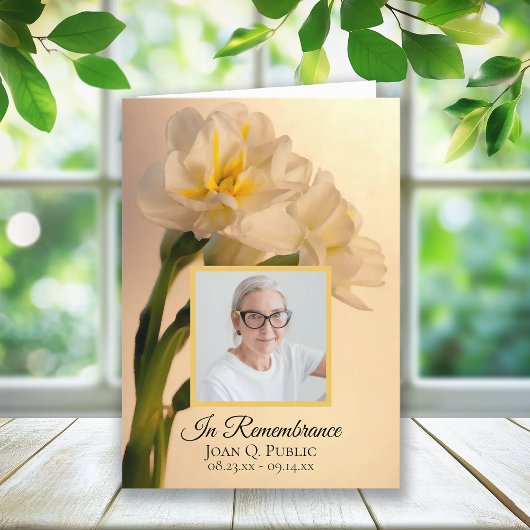 Weiße Doppel-Daffodien Begräbnisdienst geklappt Programm