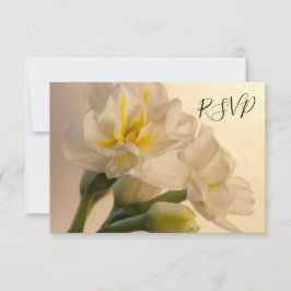 Weiße Doppel-Daffodien für die Hochzeit der RSVP-A RSVP Karte