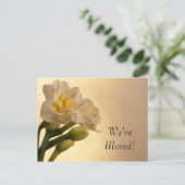 Weiße Doppel-Dioden Adressänderung Ankündigungspostkarte (Stehend Vorderseite)