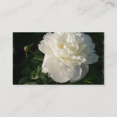 Weiße doppelte Pfingstrosen-Visitenkarte Visitenkarte (Rückseite)