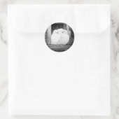 WEISSE DOVEN AM FENSTER Schwarzweiß Runder Aufkleber (Tasche)