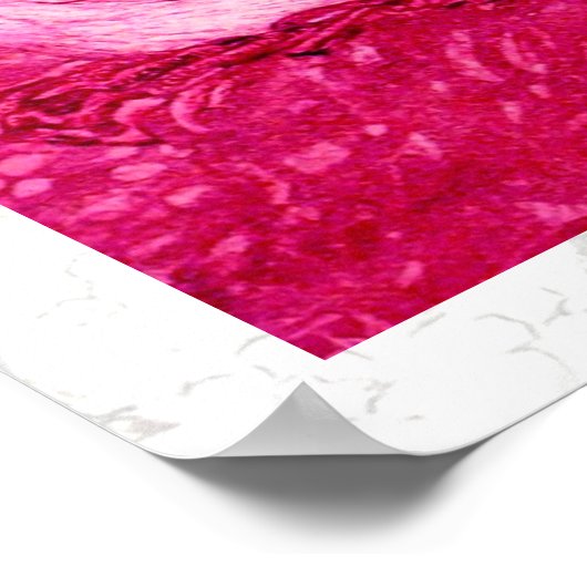 WEISSE DOVEN IN PINK FUCHSIA POSTER (Ecke)