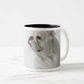 Weiße englische Bulldogge Zweifarbige Tasse (VorderseiteRechts)