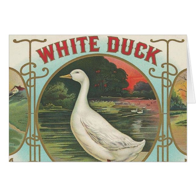 Weiße Ente (Vorderseite (Horizontal))