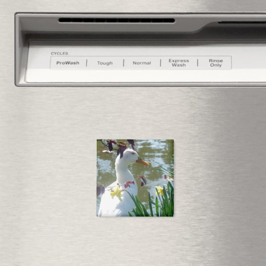 Weiße Ente in Daffodien Magnet (In Situ (Geschirrspüler))