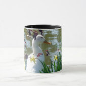 Weiße Ente in der Tasse Daffodien (Zentrum)