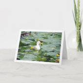 Weiße Ente in Lily Pond Karte (Vorderseite)