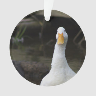 Weiße Enten-Dekoration  Ornament
