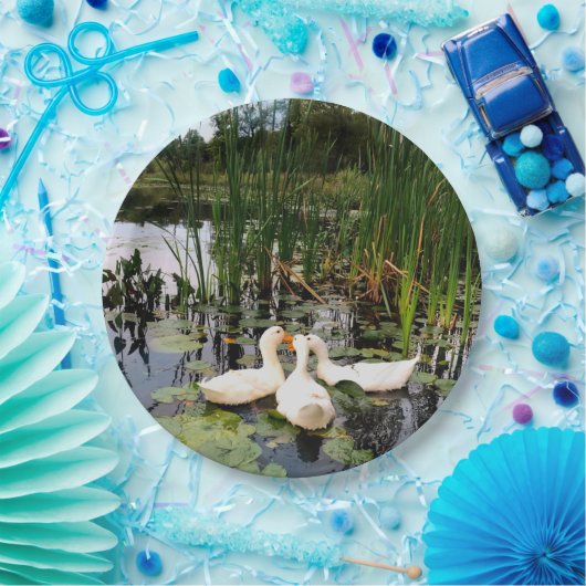 Weiße Enten, Lilienpads, Fesseln, Seeufer Pappteller (Party)