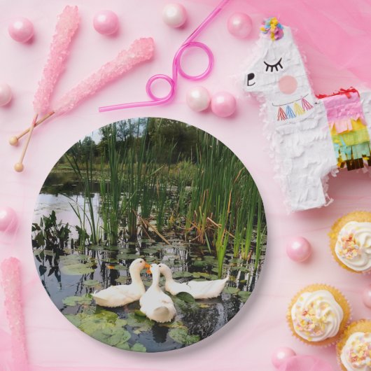 Weiße Enten, Lilienpads, Fesseln, Seeufer Pappteller (Party)