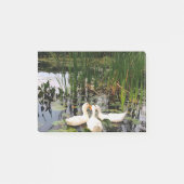 Weiße Enten, Lilienpads, Fesseln, Seeufer Post-it Klebezettel (Vorderseite)