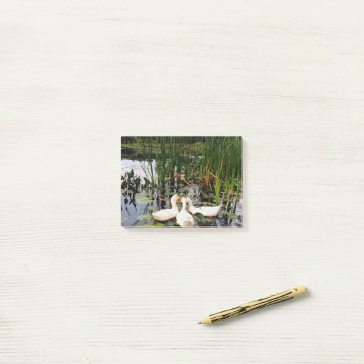 Weiße Enten, Lilienpads, Fesseln, Seeufer Post-it Klebezettel (Auf Schreibtisch)