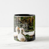 Weiße Enten, Lilienpads, Fesseln, Seeufer Zweifarbige Tasse (Mittel)