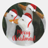 Weiße Enten mit roten Weihnachtsmannmützen Urlaub Runder Aufkleber (Vorderseite)