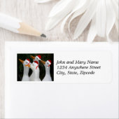 Weiße Enten mit Rücksendeadresse der Roten Weihnac (Insitu)