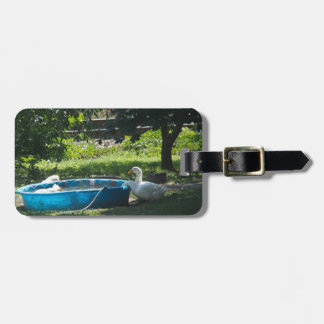Weiße Enten und ein Pool Gepäckanhänger