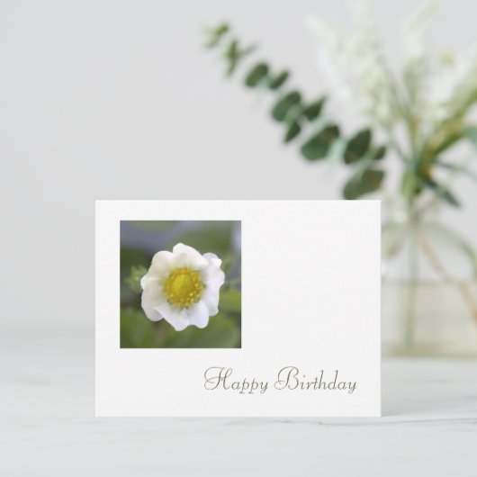 Weiße Erdbeere Blume zum Geburtstag Postkarte (Stehend Vorderseite)